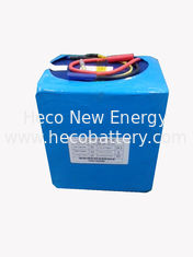 Scooter Lithium Polymer Battery Pack , 24V LiFePO4 Battery Module